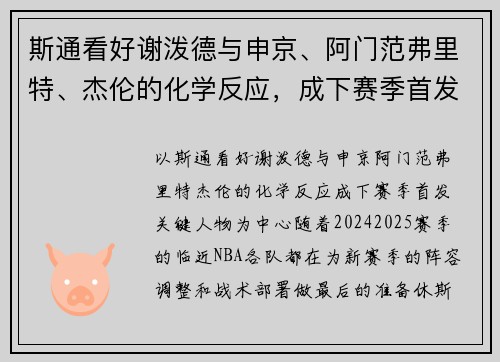 斯通看好谢泼德与申京、阿门范弗里特、杰伦的化学反应，成下赛季首发关键人物